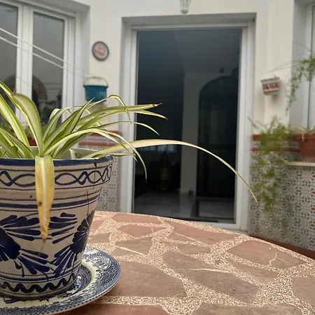 Alyana Vandrerhjem *