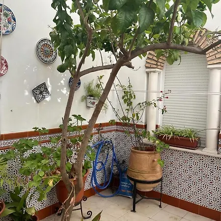 Alyana Vandrerhjem Córdoba